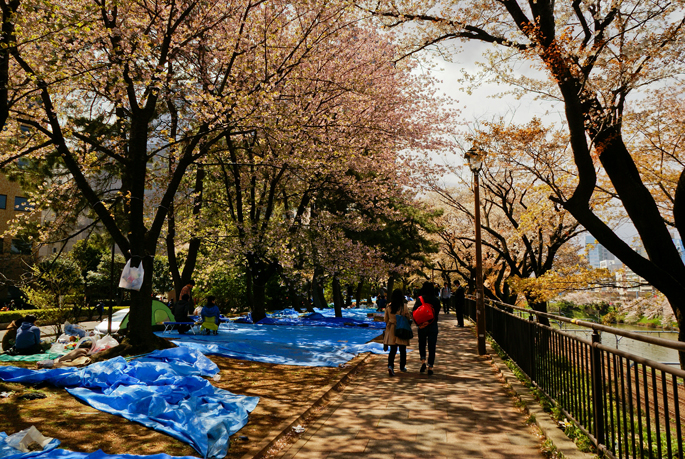 Kanda-gawa, Iidabashi, Tokyo