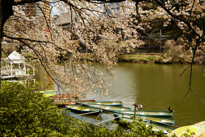 Kanda-gawa, Iidabashi, Tokyo