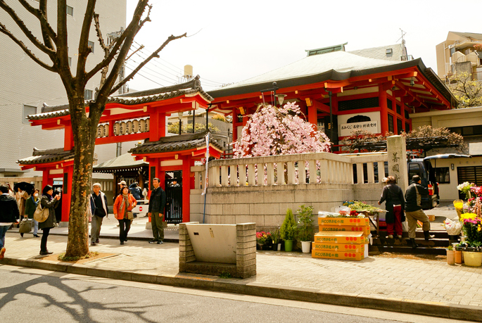 Temple Zenkoku-ji, Kagurazaka, Tokyo