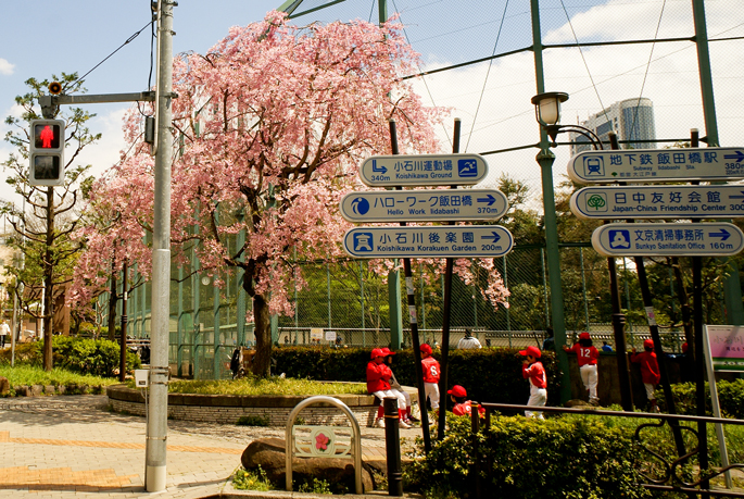 Koishikawa, Tokyo