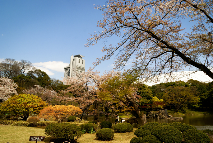 Jardin Koishikawa-Korakuen, Tokyo