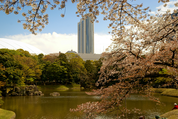 Jardin Koishikawa-Korakuen, Tokyo