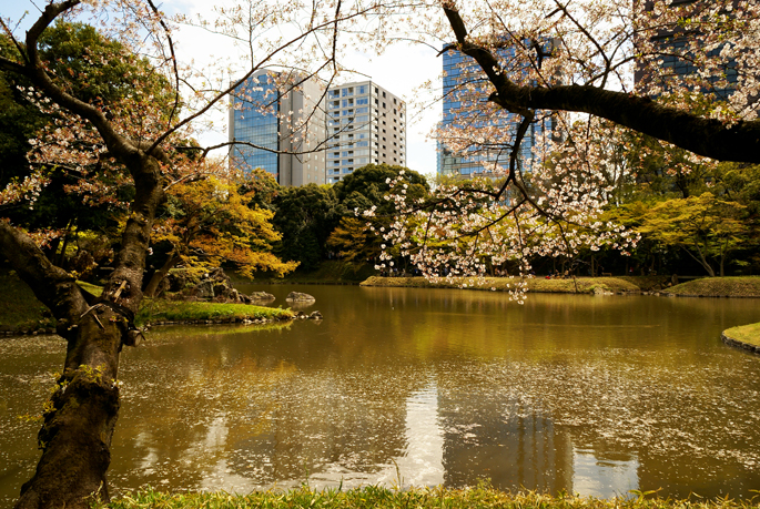 Jardin Koishikawa-Korakuen, Tokyo