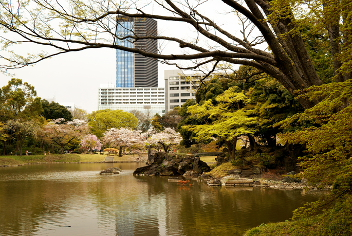 Jardin Koishikawa-Korakuen, Tokyo