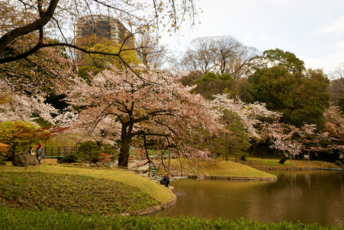 Jardin Koishikawa-Korakuen, Tokyo