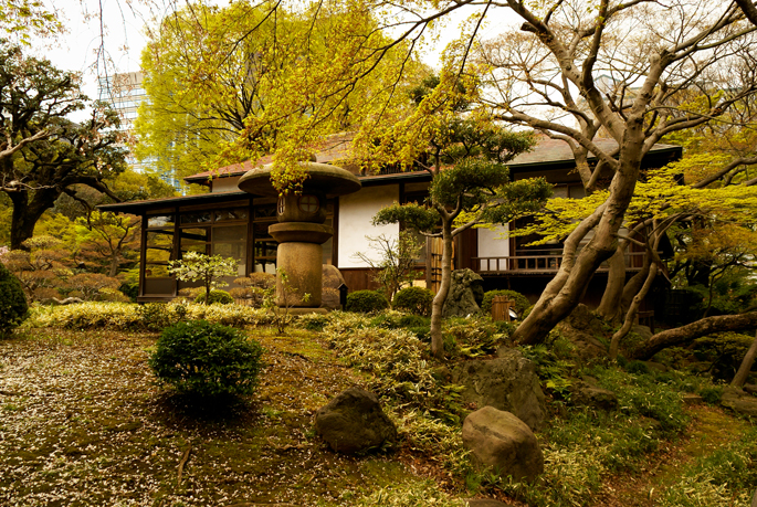 Jardin Koishikawa-Korakuen, Tokyo