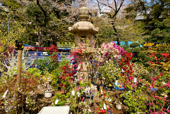 Yasukuni Jinja, Tokyo