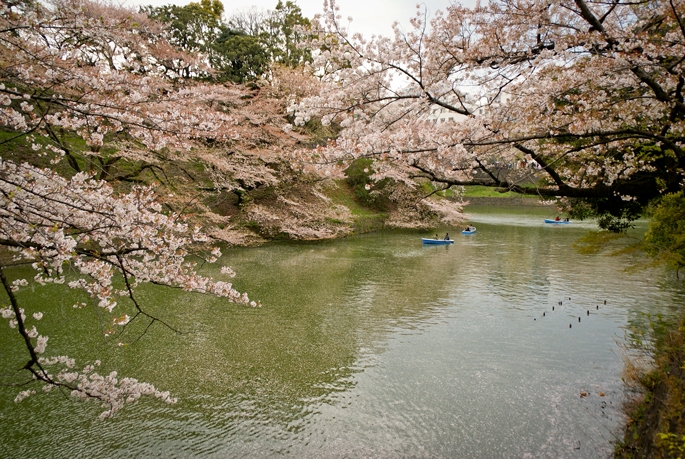 Chidori-ga-fuchi, Tokyo