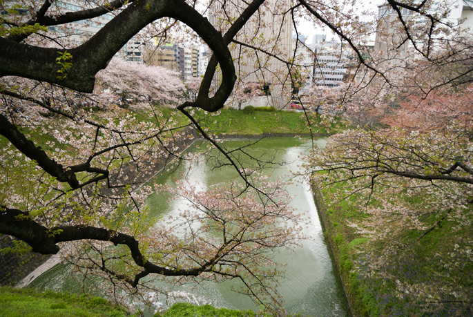 Chidori-ga-fuchi, Tokyo