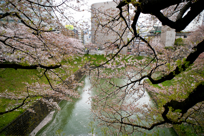 Chidori-ga-fuchi, Tokyo