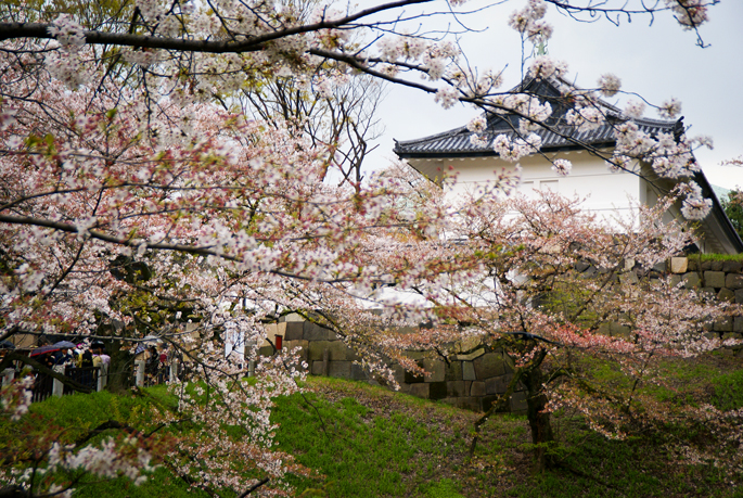 Chidori-ga-fuchi, Tokyo