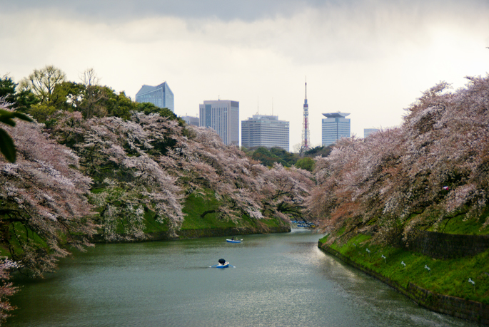 Chidori-ga-fuchi, Tokyo