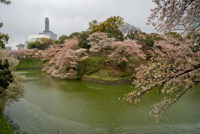 Chidori-ga-fuchi, Tokyo