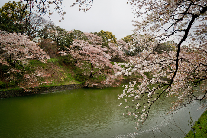 Chidori-ga-fuchi, Tokyo