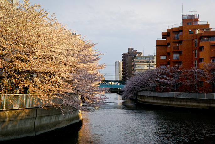 Les canaux de Fukagawa, Tokyo