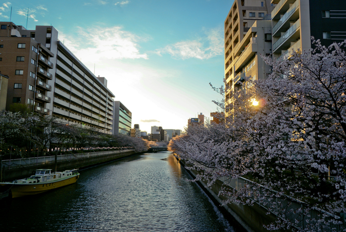 Les canaux de Fukagawa, Tokyo