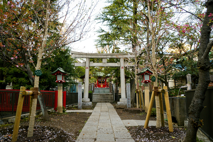 Tomioka Hachimangu, Fukagawa, Tokyo