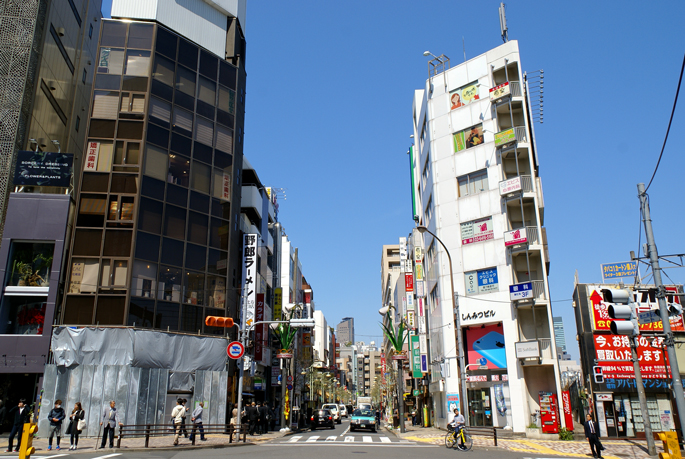 Shibuyabashi Crossing, Ebisu, Tokyo