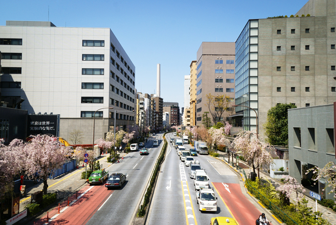 Shibuyabashi Crossing, Ebisu, Tokyo