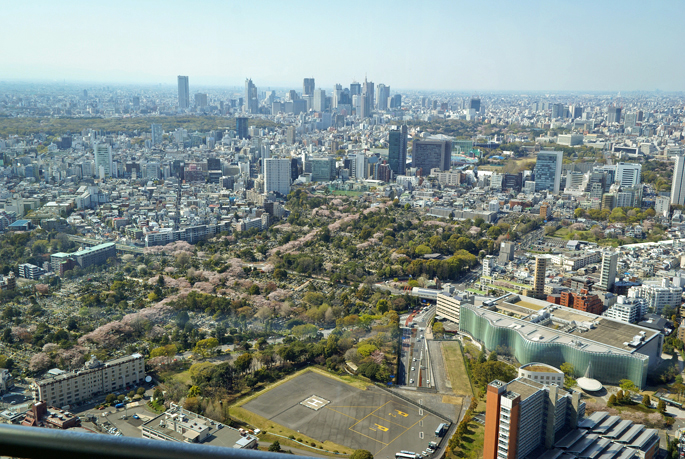 Tokyo vue depuis le Mori Building, Tokyo