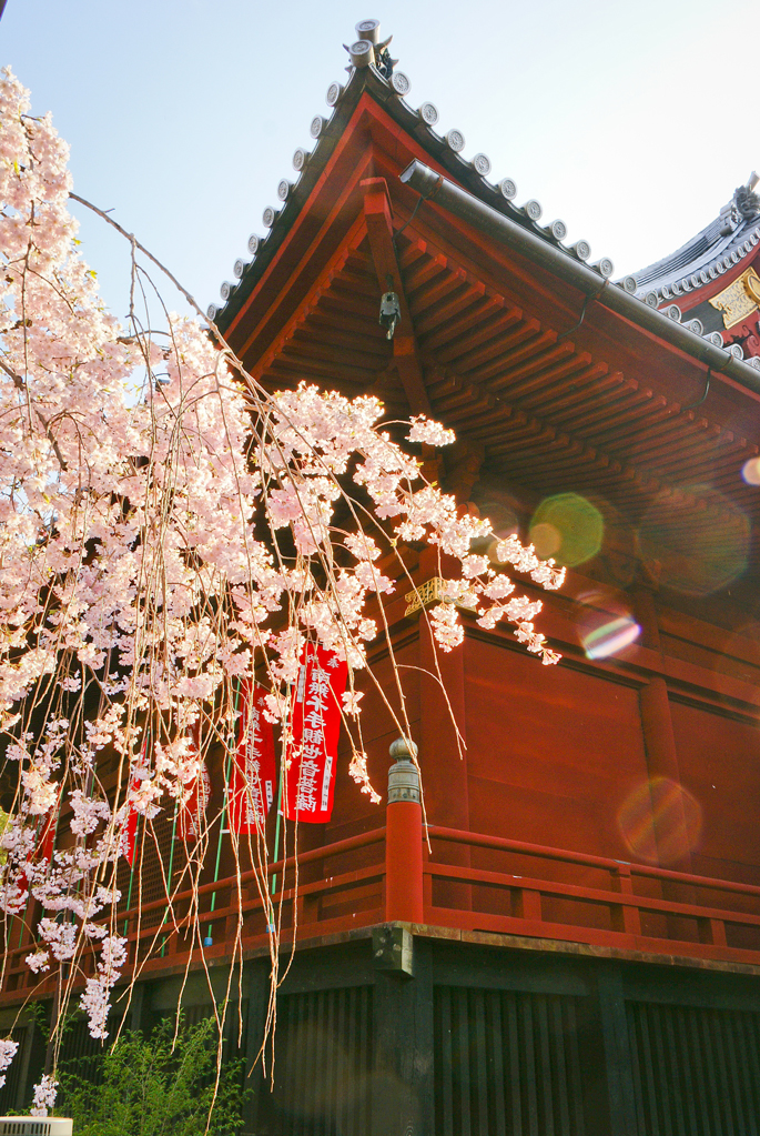 Kyomizu Kanno-do, Ueno, Tokyo