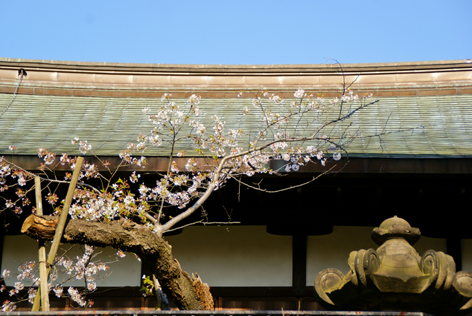 Kyomizu Kanno-do, Ueno, Tokyo