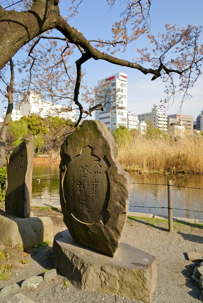 Autour du Benten-do, Ueno, Tokyo