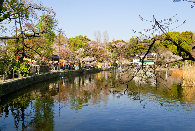 Autour du Benten-do, Ueno, Tokyo