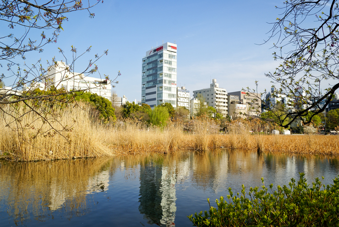 Shinobazu, Ueno, Tokyo