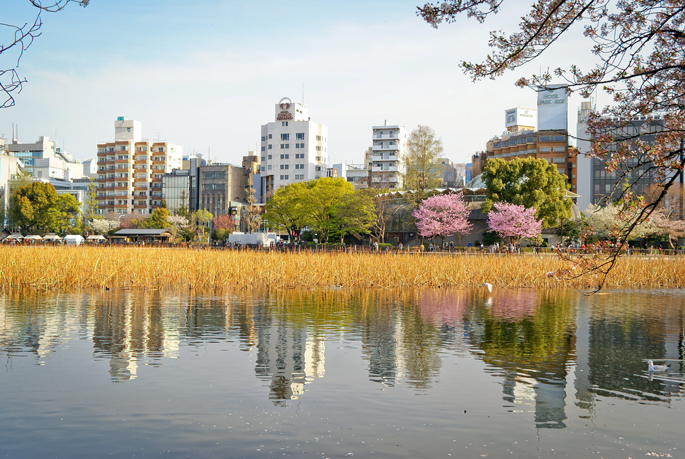 Shinobazu, Ueno, Tokyo