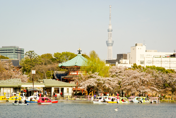 Shinobazu, Ueno, Tokyo