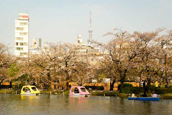 Shinobazu, Ueno, Tokyo