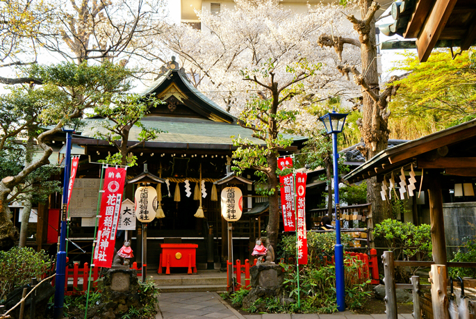 Hanazono jinja, Ueno