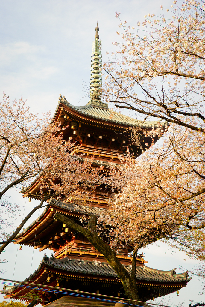 Pagaode à cinq étages, Ueno