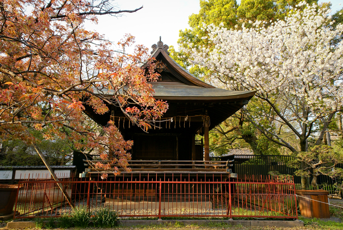 Toshogu, Ueno, Tokyo