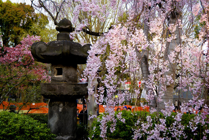 Kyomizu Kannon-do, Ueno, Tokyo