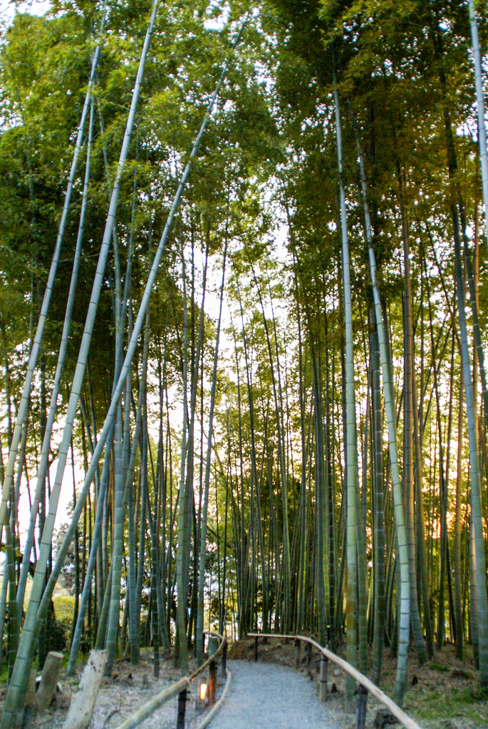 Temple Kodai-ji, Kyoto