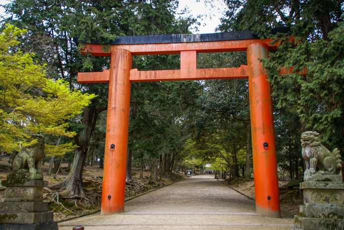 Todaiji, Nara