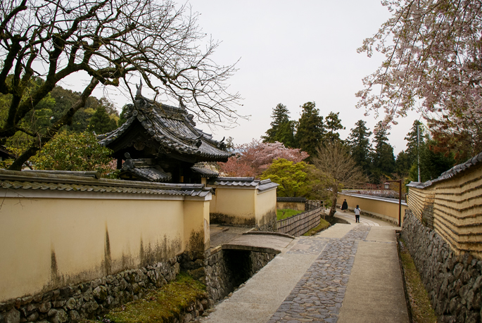 Nara, Japon