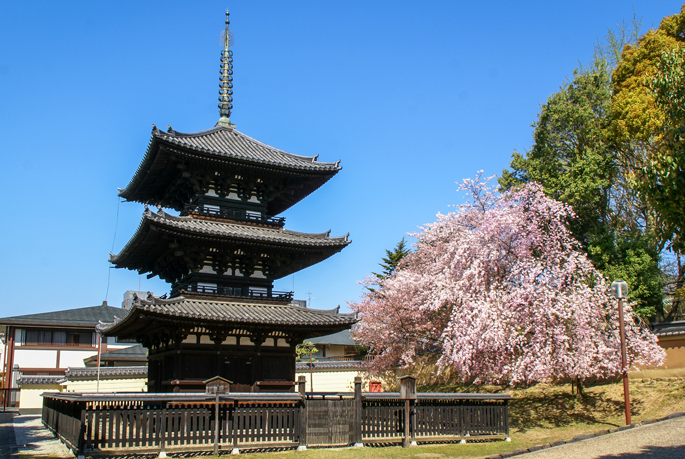 Nanendo, Kofukuji, Nara