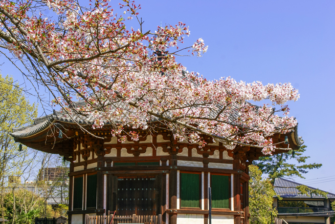 Nanendo, Kofukuji, Nara