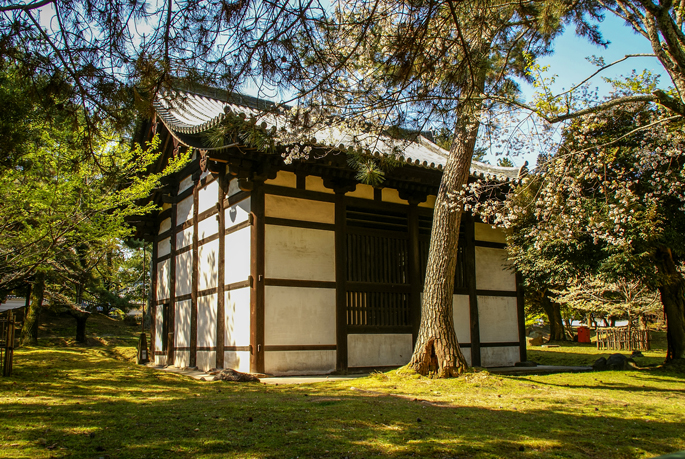 Parc de Nara, Japon