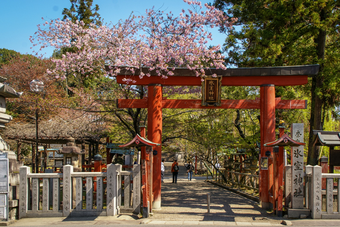 Parc de Nara, Japon