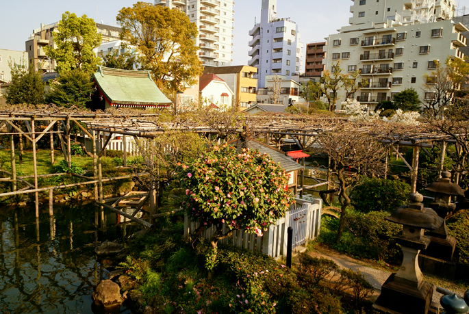 Kameido Tenjin, Tokyo