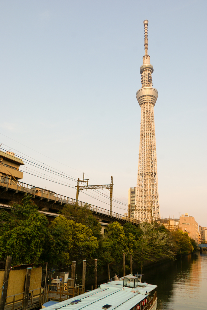 Tokyo Sky Tree vue depuis un canal de la Sumida