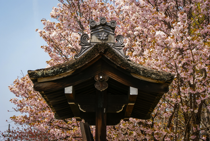 Ninnaji, Kyoto