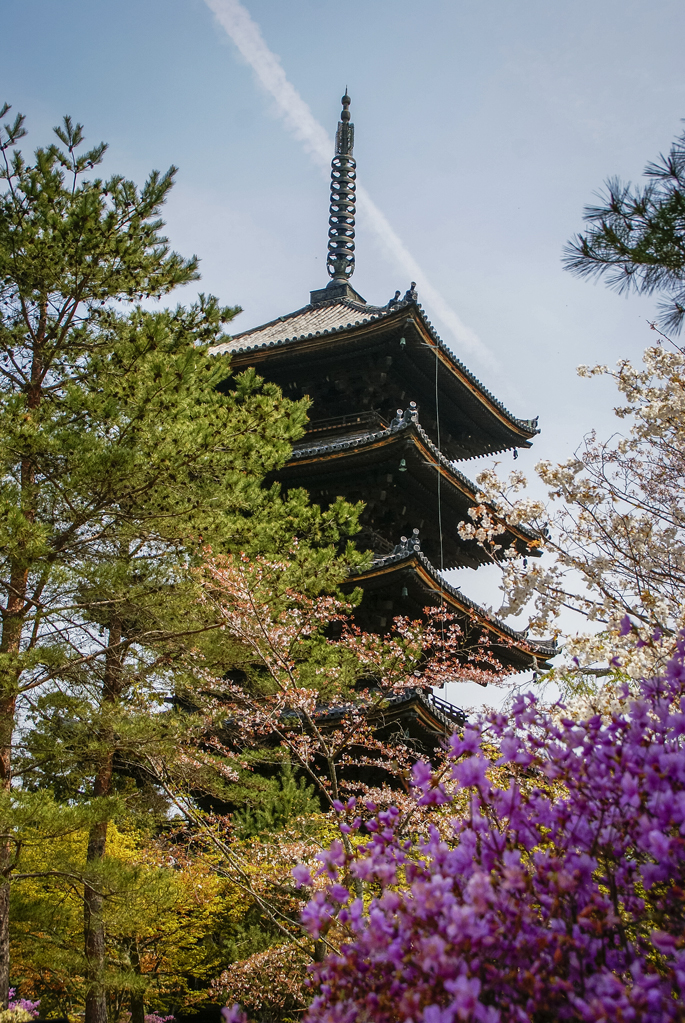 Pagode à cinq étages, Ninnaji, Kyoto