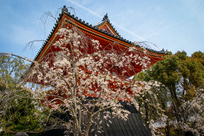 Ninnaji, Kyoto