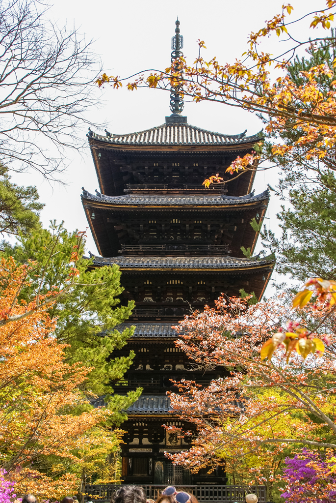 Pagode à cinq étages, Ninnaji, Kyoto