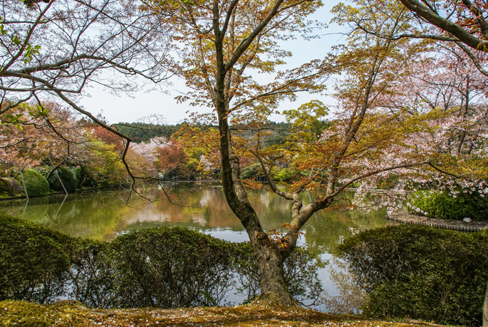 Ryōan-ji, Kyoto